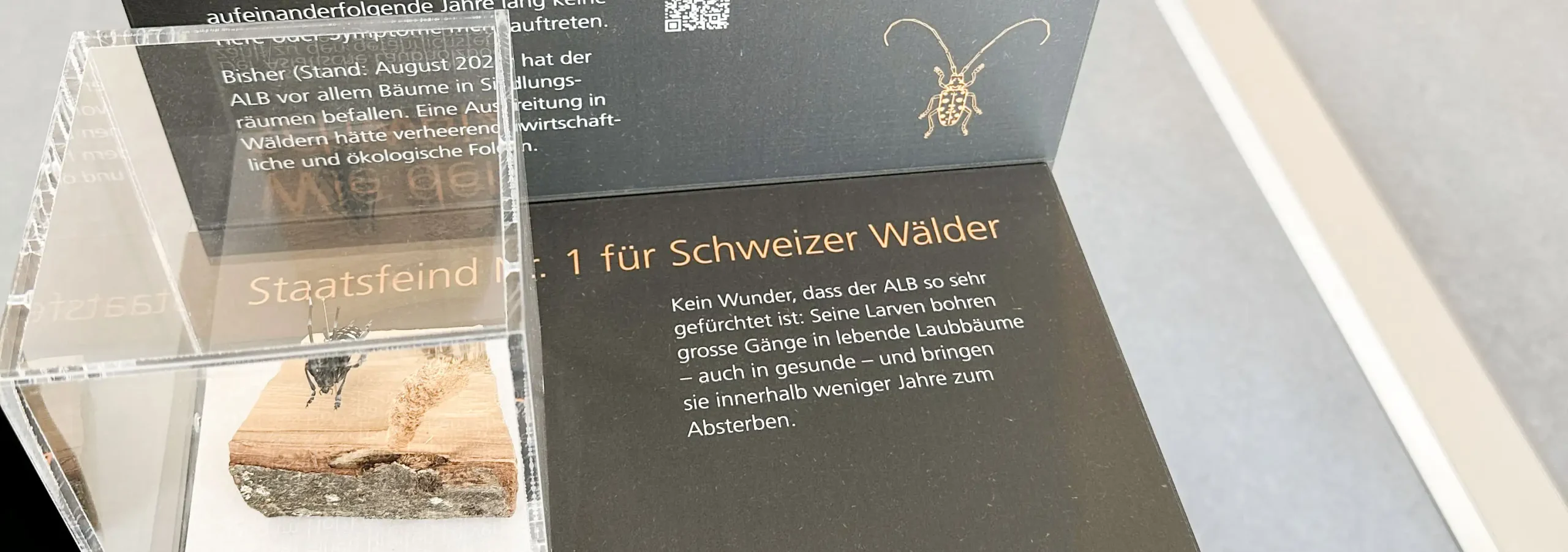 WSL-Ausstellung «Breaking the Code»